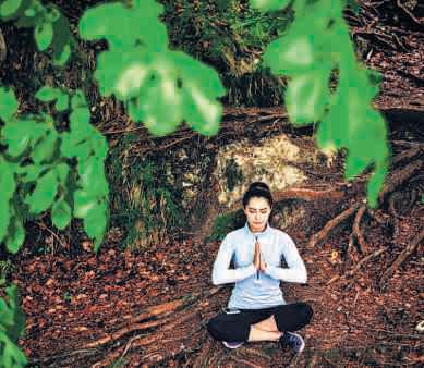 The Quiet Power of Surrender