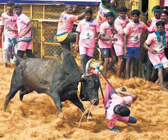 A spectacle of strength