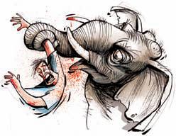 Farmer killed in elephant attack