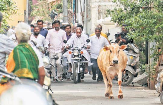 Record 89.87% voter turnout in Puducherry
