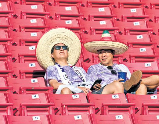 FIFA blames fans for empty seats