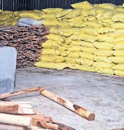 Two chemical units in Kovai sealed for hoarding subsidised fertiliser