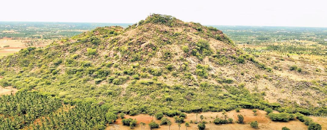 Nagamalai hillock in Erode is TN’s 4th Biodiversity Heritage Site