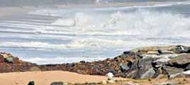 More time for IREL mining plan sparks row