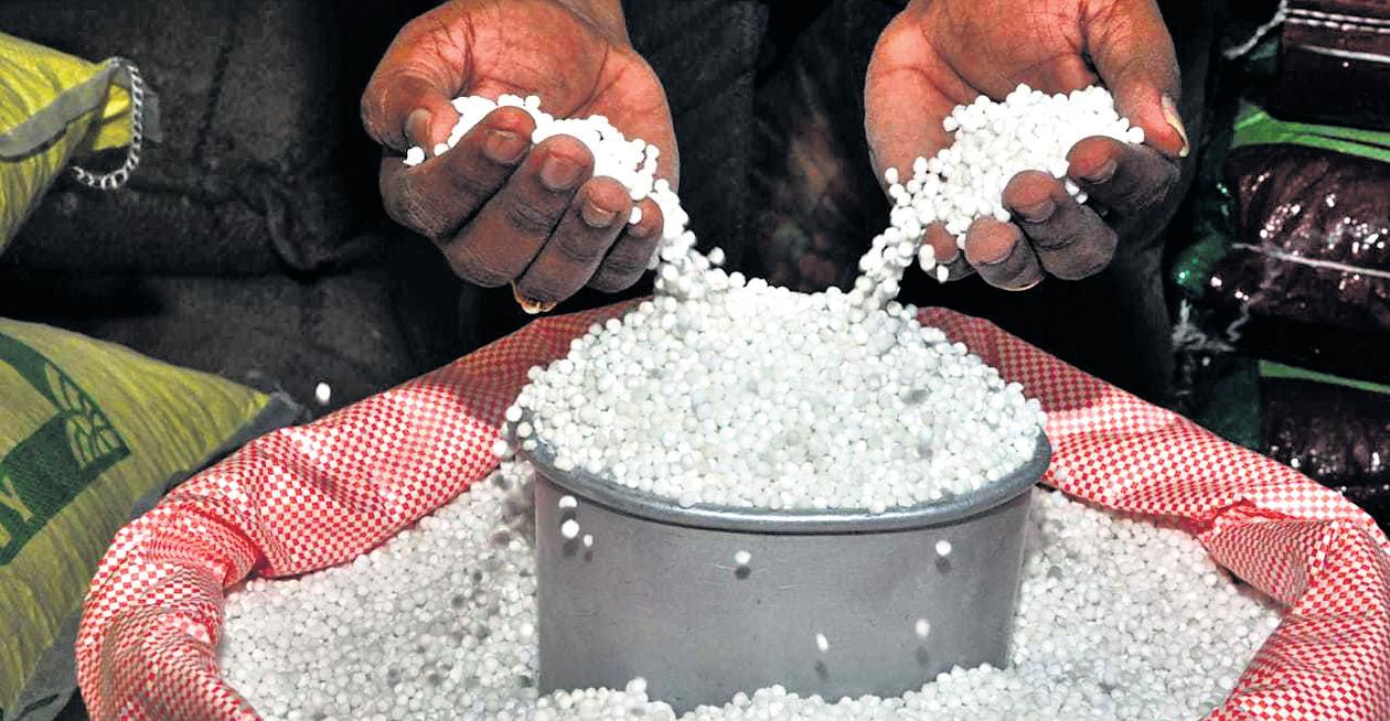 Low demand, poor oversight: The ‘sago’ of Salem’s tapioca pearls