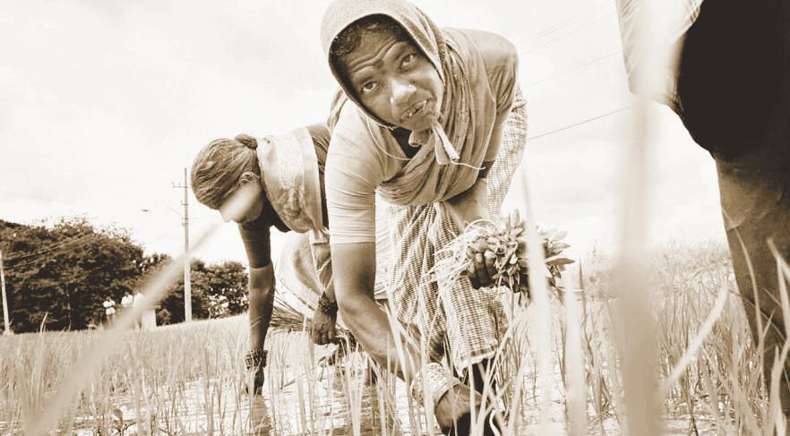 Bengal in the Times of Gandhi Land