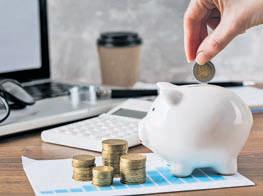 INVESTING IN LARGE AND MID CAP FUNDS