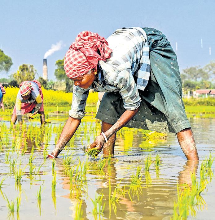 Natural Vs Conventional: Study finds new social structure in farming practices
