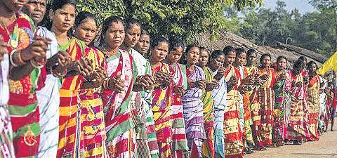 Protect forest dwellers from eviction, states told