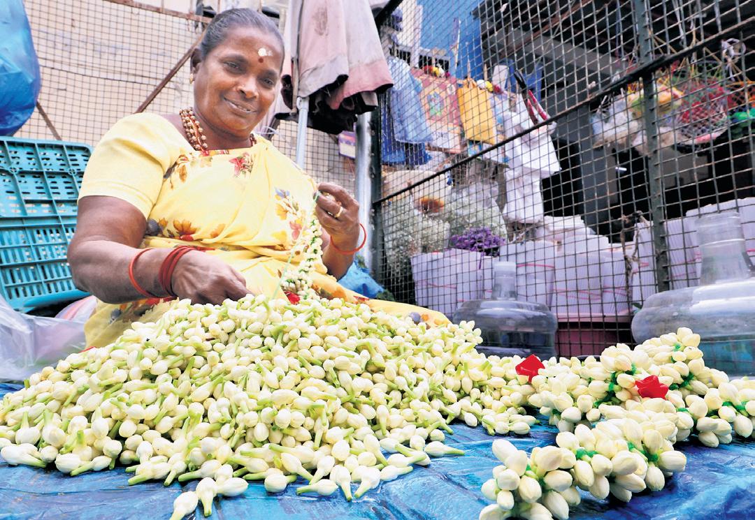 Jasmine turns 'gold' ahead of Pongal, prices touch record high of ₹12,000/kg in Madurai markets