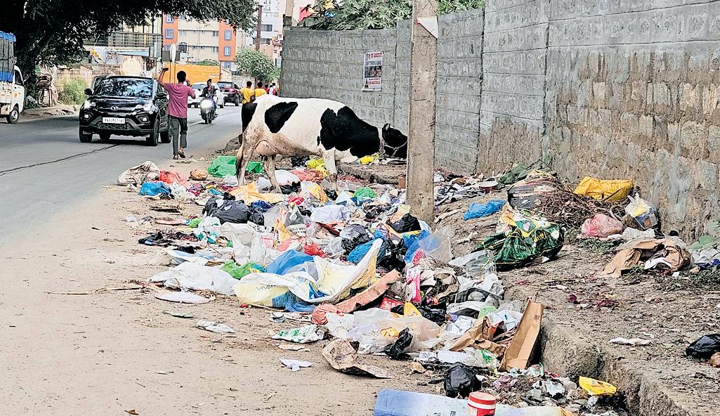 'Stink': Waste strewn on Nallurhalli Road a bane for residents