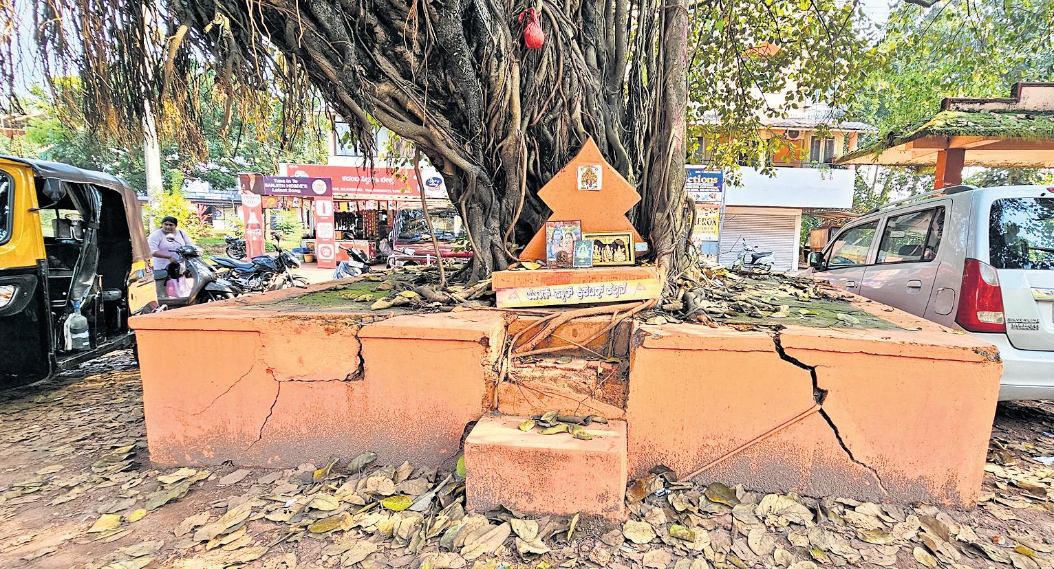 REVIVING THE VANISHING KATTES OF MANGALURU