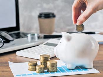 INVESTING IN LARGE AND MID CAP FUNDS