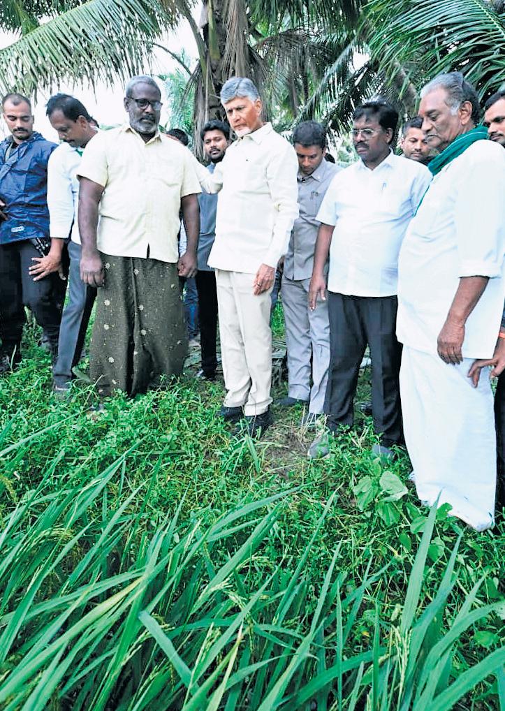 Proactive planning helped mitigate cyclone loss: Naidu