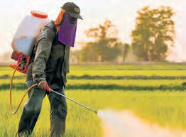 Cancer cases up in HP, clamour for ban on hazardous pesticides grows