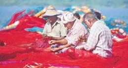 Net cast to catch unsustainable fishing practices