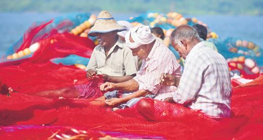 Net cast to catch unsustainable fishing practices