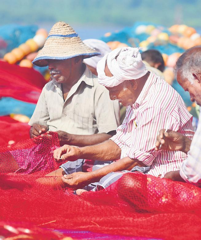 Net cast to catch unsustainable fishing practices