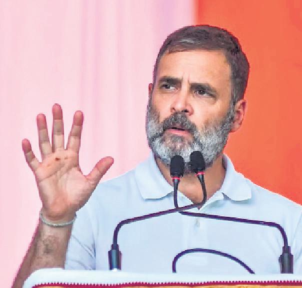 BJP mocks Rahul for jungle safari in MP's Satpura Tiger Reserve