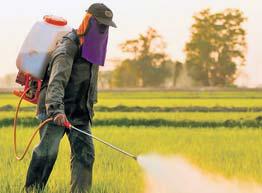 Cancer cases up in HP, clamour for ban on hazardous pesticides grows