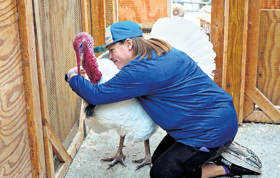 'Gus' the turkey says 'no thanks' to Thanksgiving