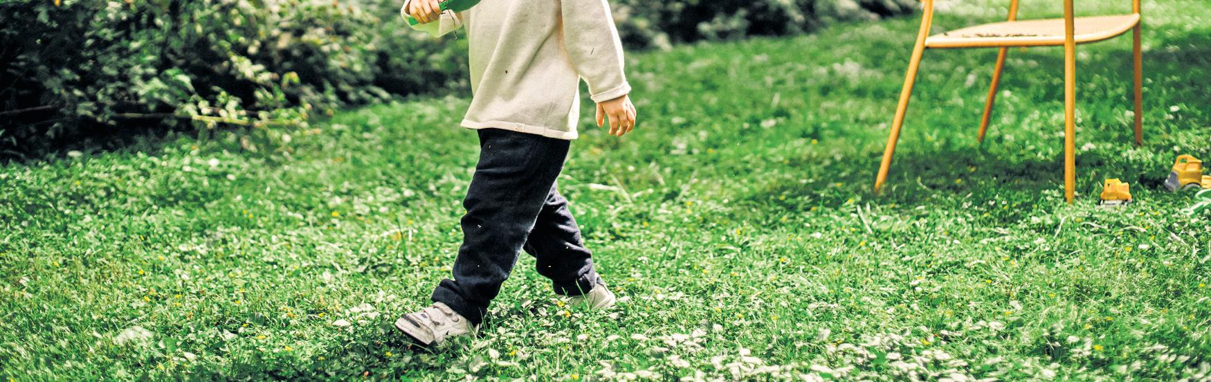 Choosing the right grass for your garden
