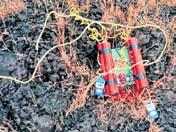 J’khand police rope in surrendered Naxals to neutralise IEDs in Saranda