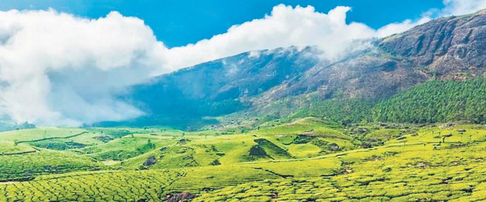 Temperature drops below 10 degrees, Munnar preps for higher tourist footfall