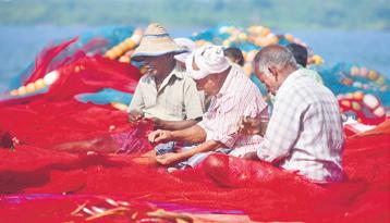 Net cast to catch unsustainable fishing practices