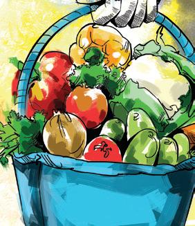 Nov inflation falls to 5.5%; raises rate cut hope in Feb