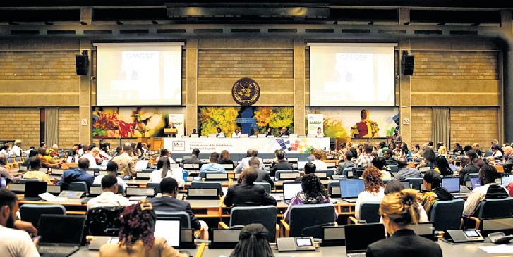 Heated debate likely at UN green body meet