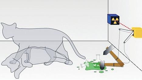 IN LIMBO? Schrödinger’s cat: Alive, dead, or misunderstood?