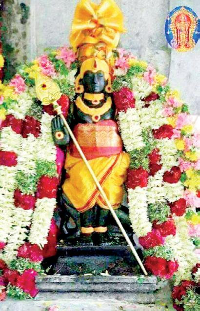 தரணி போற்றும் தைப்பூச வழிபாடு