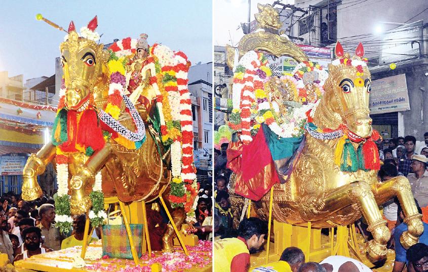 தங்கக் குதிரை வாகனத்தில் எழுந்தருளினர் மீனாட்சி, சுந்தரேசுவரர்