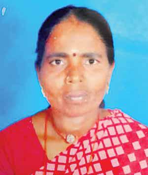 சோளிங்கர் அருகே 3 பேர் வெட்டிக் கொலை