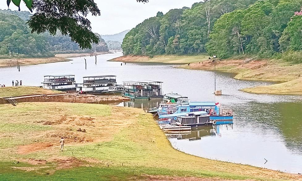 தென்மேற்குப் பருவமழை தீவிரம்: தேக்கடியில் படகு சவாரி நிறுத்தம்