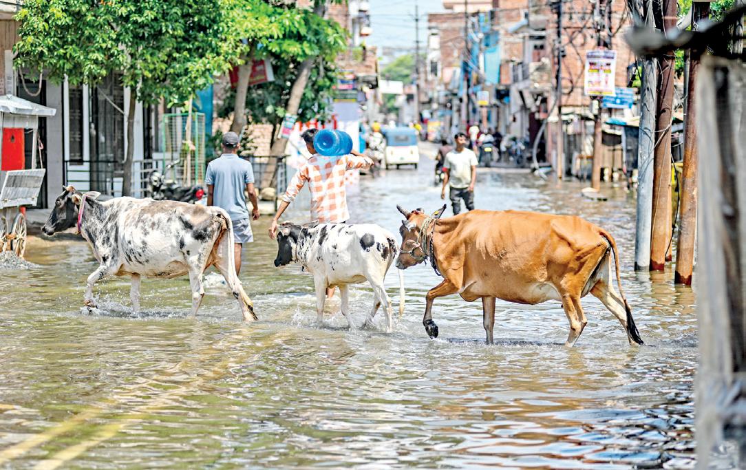 மழை, வெள்ளத்தால் தத்தளிக்கும் வட மாநிலங்கள்!