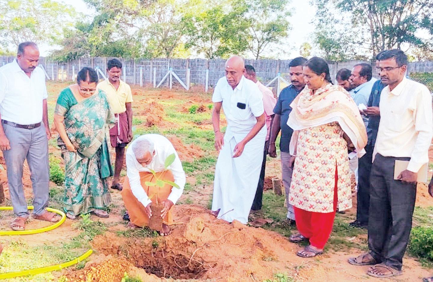 திருக்கோயில் நிலங்களில் 20 லட்சம் மரக்கன்றுகள் நடும் திட்டம்