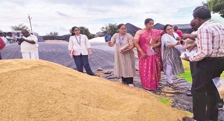 நெல் கொள்முதல் நிலையங்களில் மத்தியக் குழு ஆய்வு