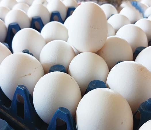 தொடர் விலை உயர்வால் முட்டைகள் பதுக்கலா? வியாபாரிகள் சங்கம் விளக்கம்