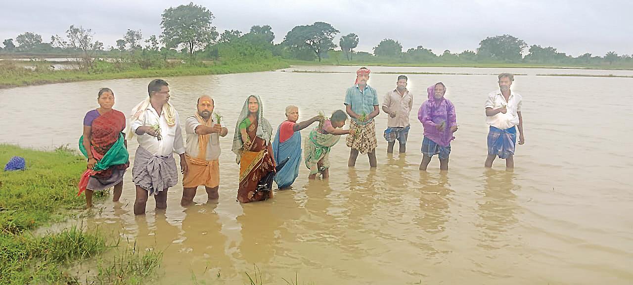 நாகை மாவட்டத்தில் நீரில் மூழ்கிய 50,000 ஏக்கர் நெற்பயிர்கள்