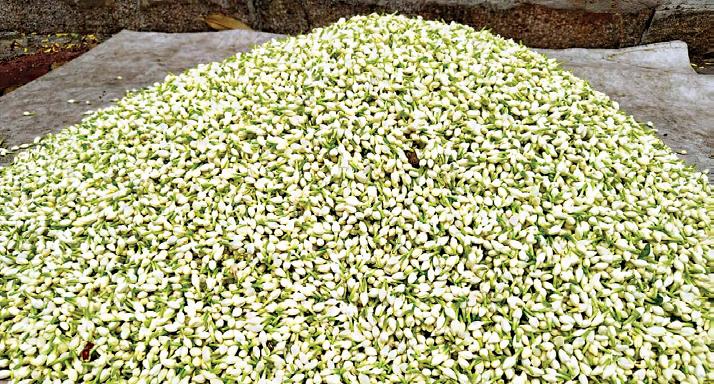 மல்லிகை கிலோ ரூ.7,000