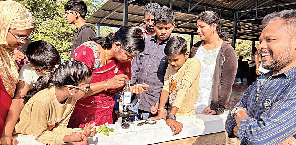 தாவரங்களைப் பற்றிய அறிவும் விழிப்புணர்வும் தேவை!