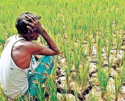 நாட்டில் ஒரு மணி நேரத்துக்கு ஒரு விவசாயி தற்கொலை