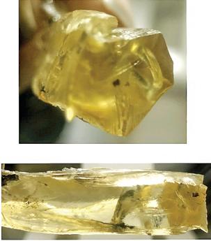 பல ஆயிரம் ஆண்டுகளுக்கு முந்தைய மீன் புதை படிமம் கண்டுபிடிப்பு