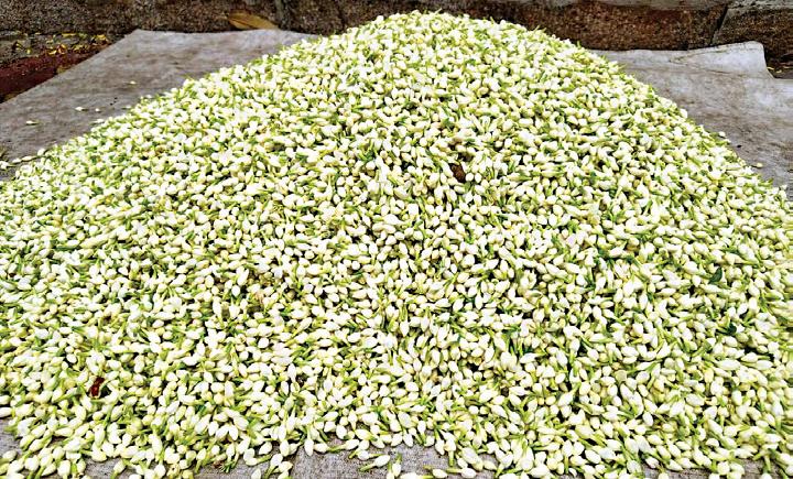 மல்லிகை கிலோ ரூ.7,000