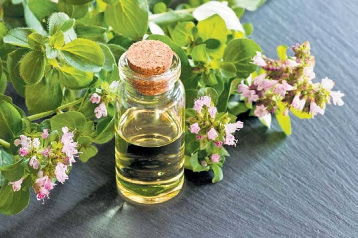 OIL THERAPY