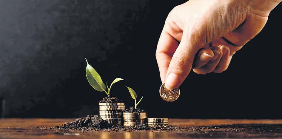 Understanding Small Cap Funds
