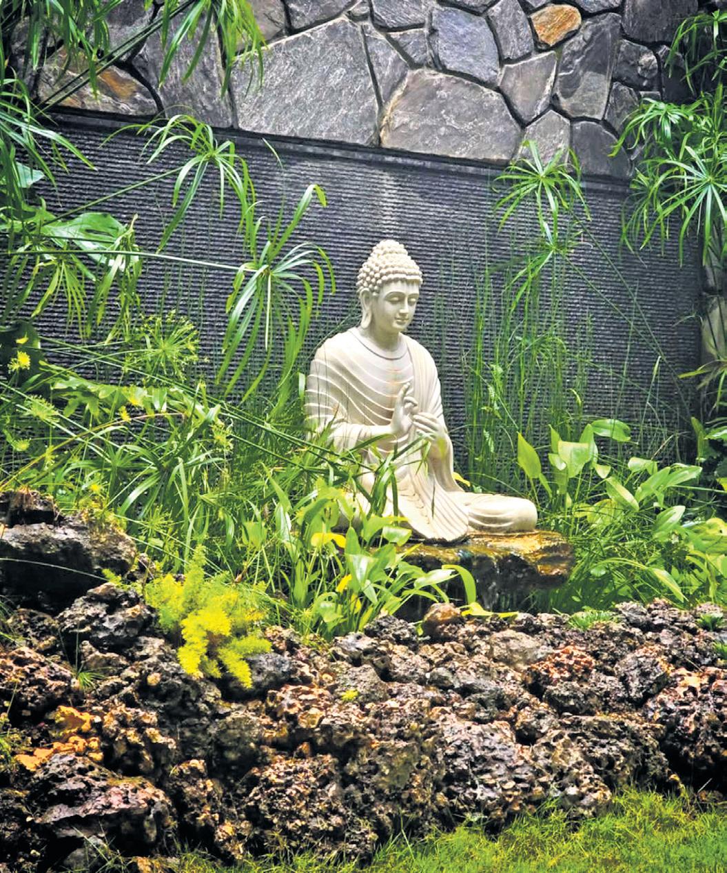 ROOTED IN SERENITY