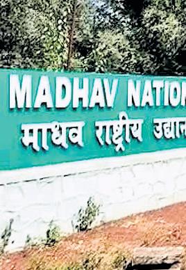 PM Lauds Efforts as India Gets 58th Tiger Reserve